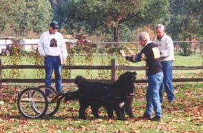 Parma,
                  Mackie, and Judi